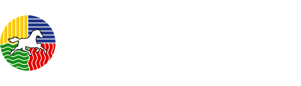 Volver a la página principal